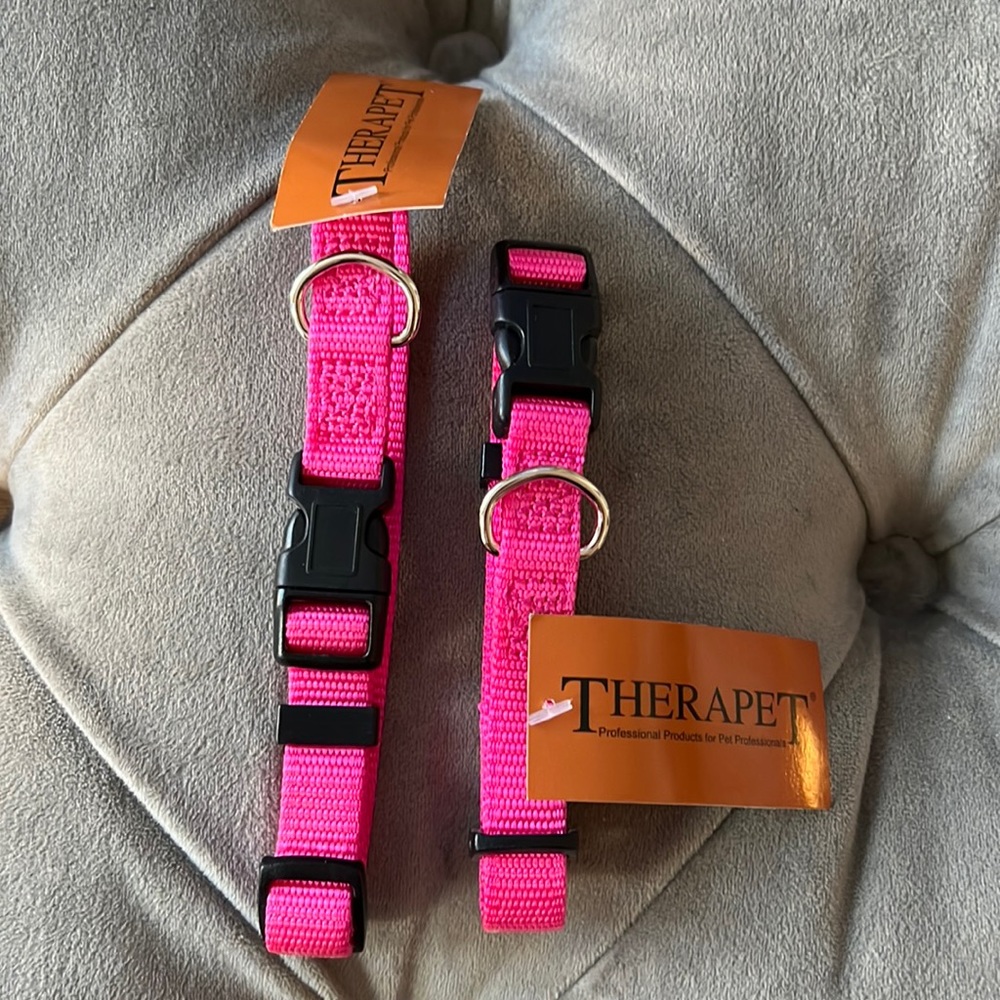 10-14” Adjustable Pink Nylon Dog Collar
